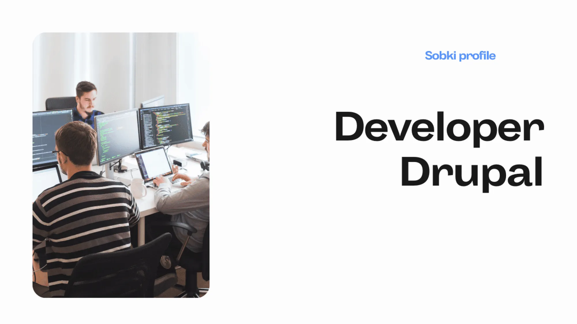 Developer