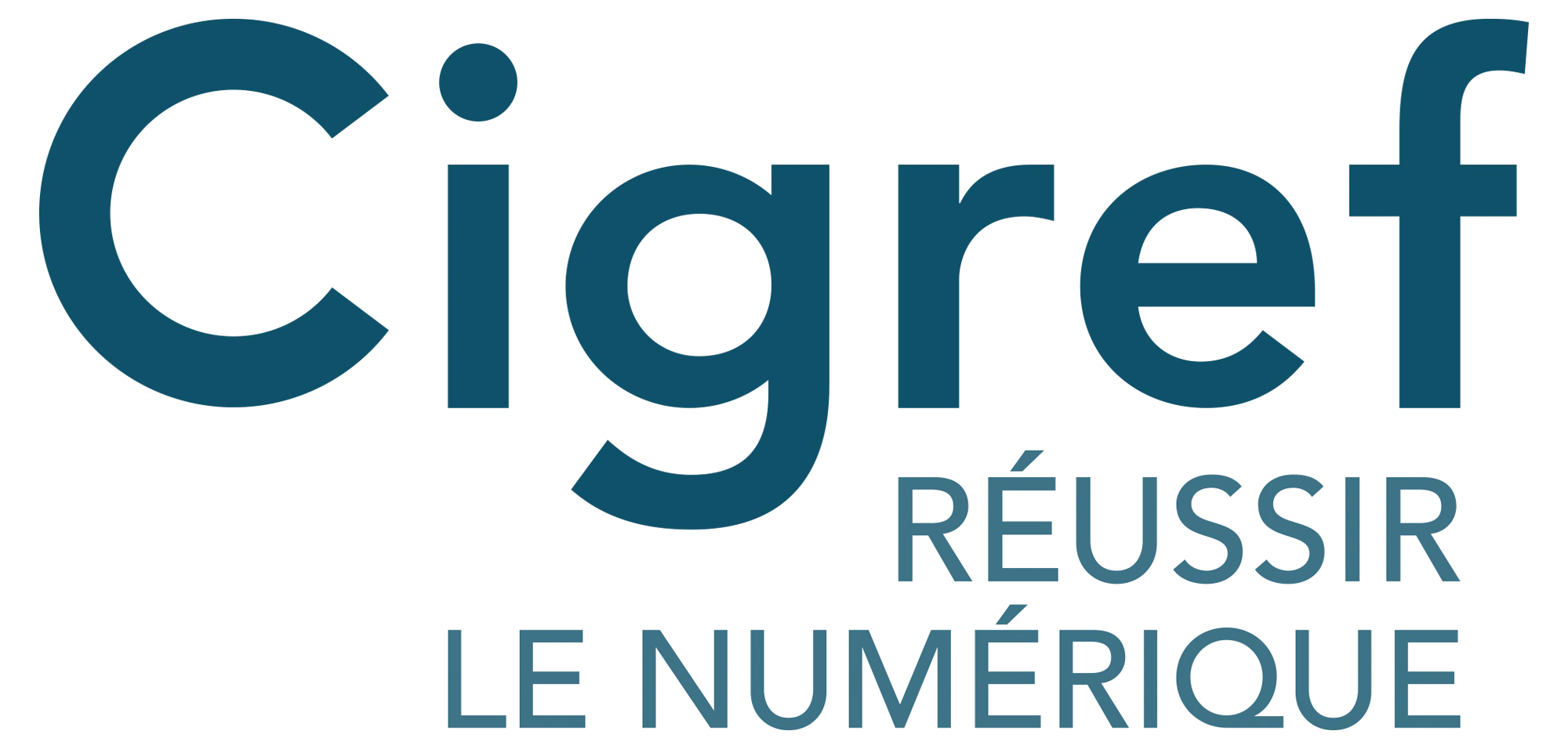 Cigref réussir le numérique